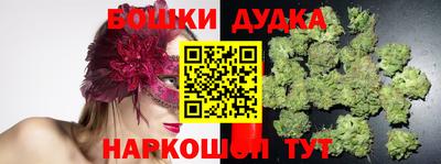 дмт Будённовск