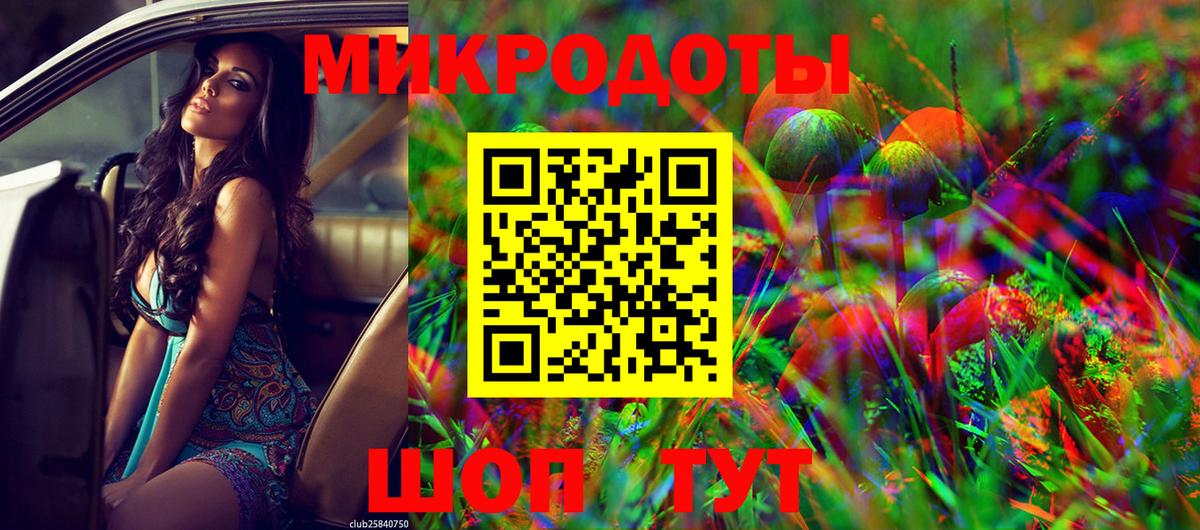 Галлюциногенные грибы Psilocybine cubensis Пушкино