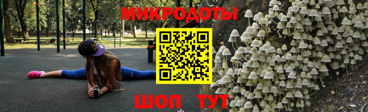 Галлюциногенные грибы Magic Shrooms  Вход с VPN  Галлюциногенные грибы Psilocybine cubensis  Пушкино 